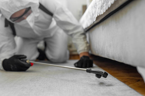 Professional Ant Control technician working in Clinton, WA